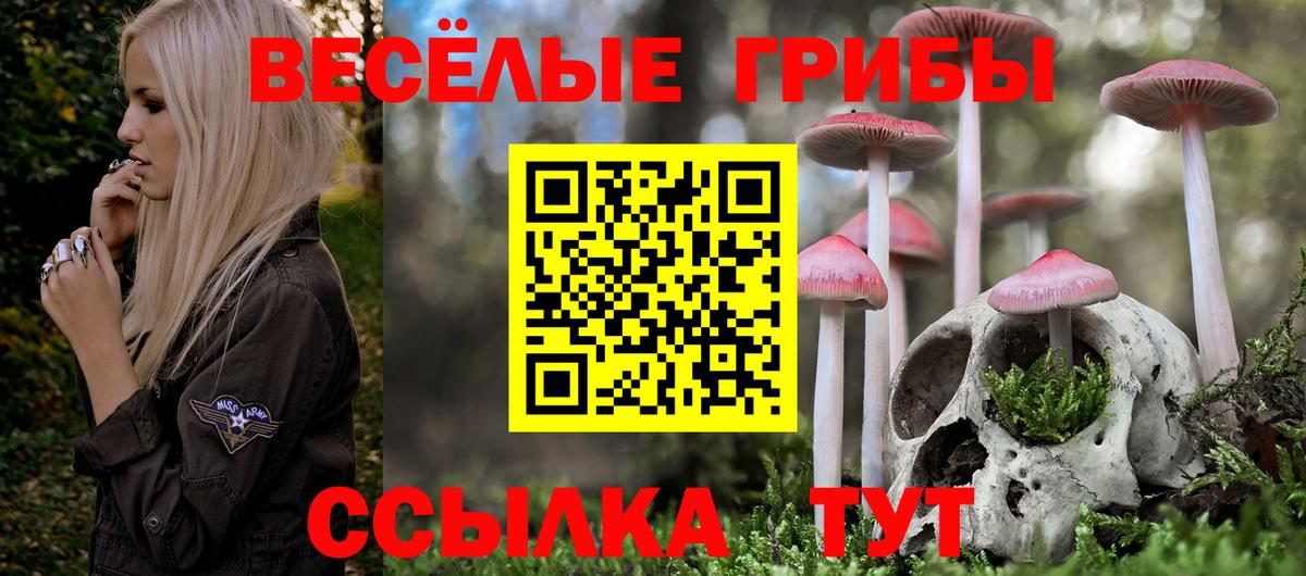 Псилоцибиновые грибы Psilocybe  Вход с VPN  Коркино  Галлюциногенные грибы GOLDEN TEACHER 